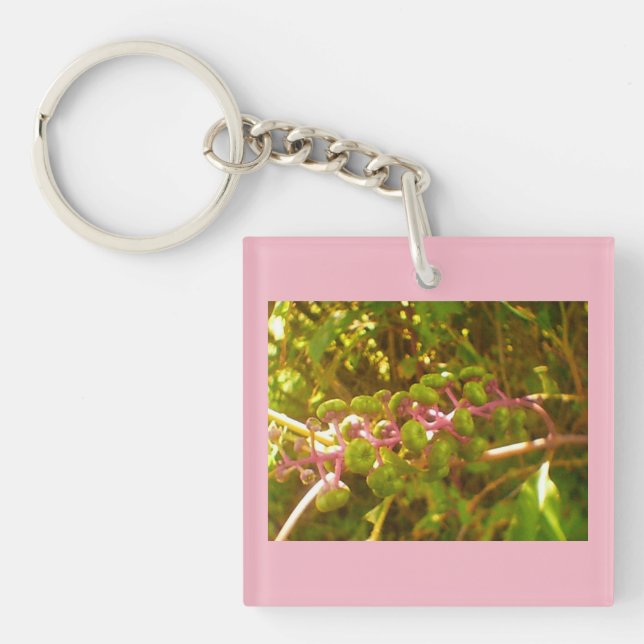 Bläck Berry (Framsidan)