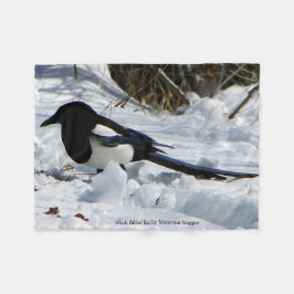 Black Billed Rocky Mountain Magpie filt