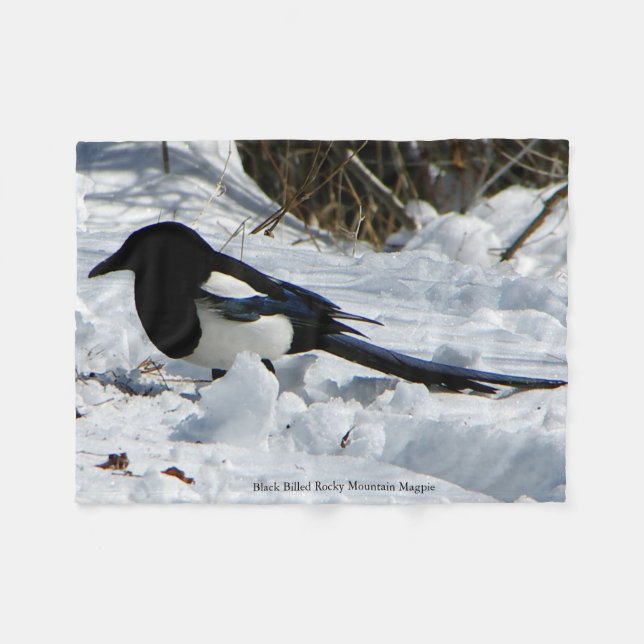 Black Billed Rocky Mountain Magpie filt (Framsidan (Horisontell))