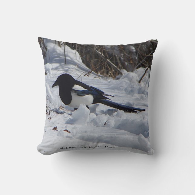 Black Billed Rocky Mountain Magpie-kudde Kudde (Framsida)