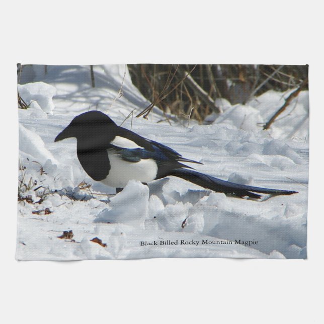 Black Billed Rocky Mountain Magpie towel Kökshandduk (Horisontell)