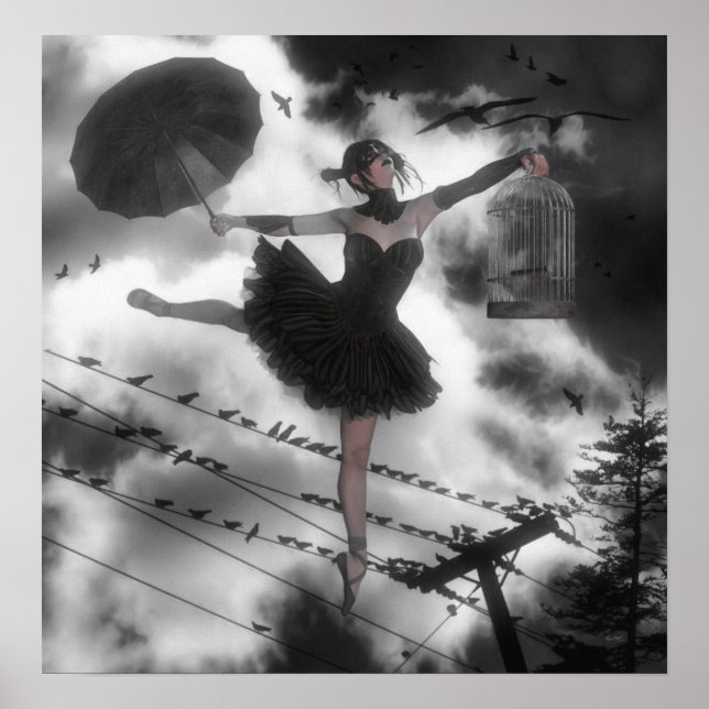 Black Bird Poster (Framsidan)