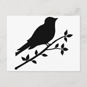 Black Bird Silhouette Vykort