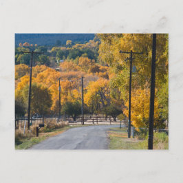 Black Bridge Road Vykort