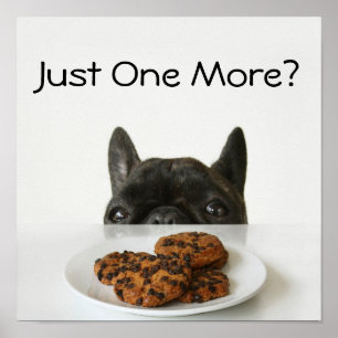 Black Brindle Fransk Bulldog Poster