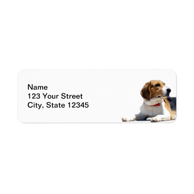 Black Brown and White Beagle Hund Returadress Returadress Etikett (Framsidan)