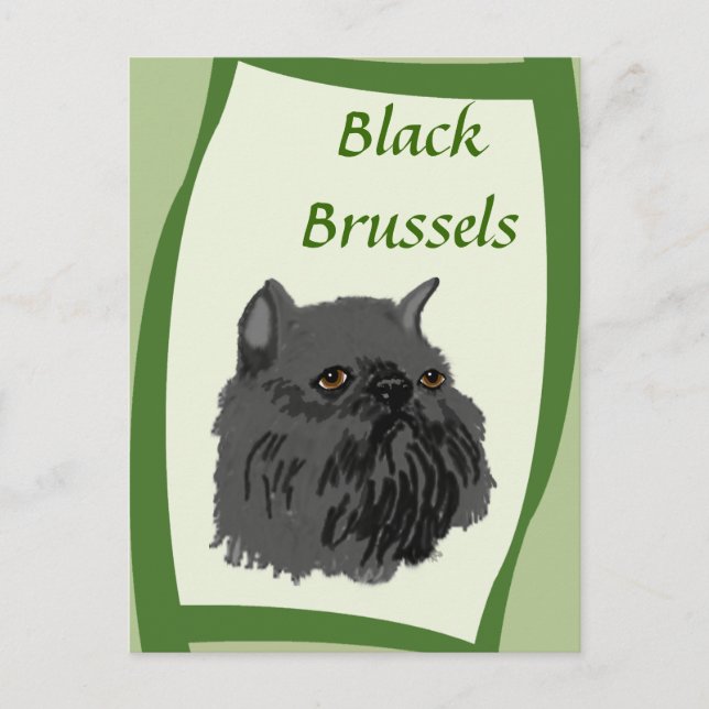 Black Brussels Griffon Vykort (Framsida)