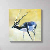 Black Buck Velavadar 1997