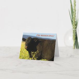 Black Bull in Flowers - Western förändring av Adre Meddelande
