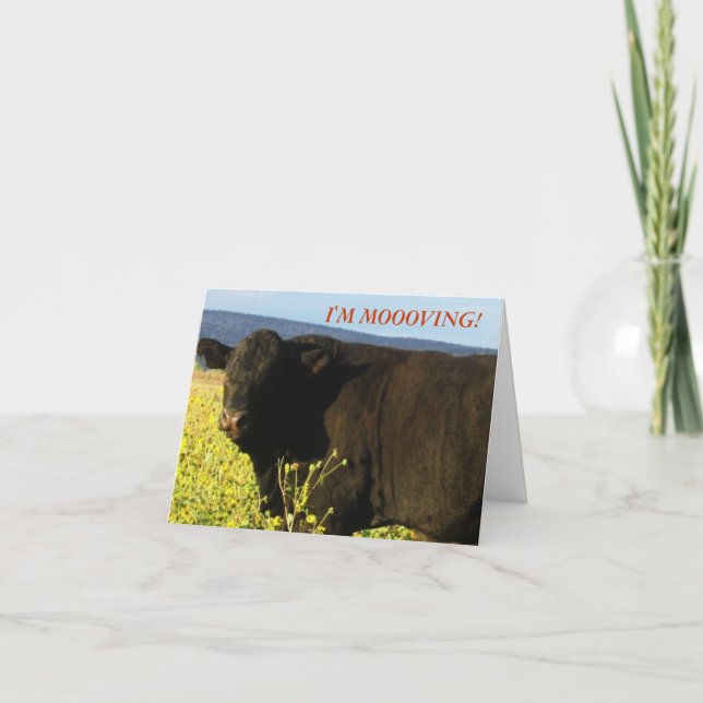 Black Bull in Flowers - Western förändring av Adre Meddelande (Framsida)