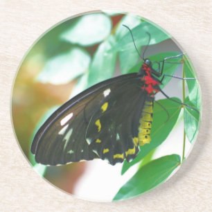 Black Butterfly Nature Drink Underlägg Sandsten