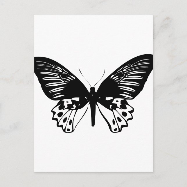 Black Butterfly Vykort (Framsida)