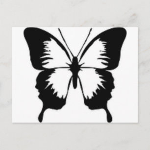 Black Butterfly Vykort