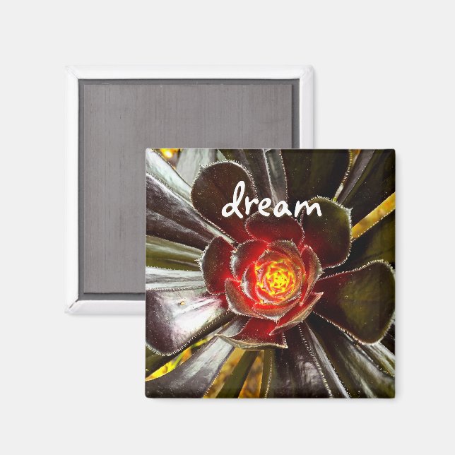 Black Cactus Photo Dream Quote Script Modern fetst Magnet (Front/Back)