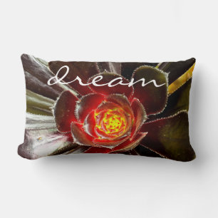 Black Cactus Photo Dream Quote-skript fet modern Lumbarkudde