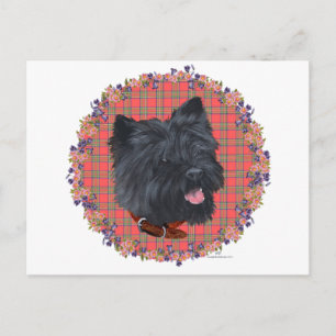 Black Cairn Head-studie Vykort