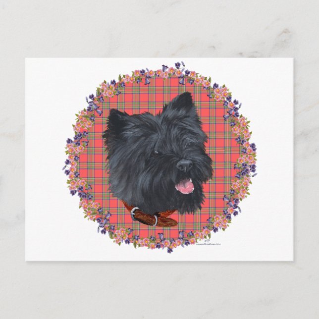 Black Cairn Head-studie Vykort (Framsida)