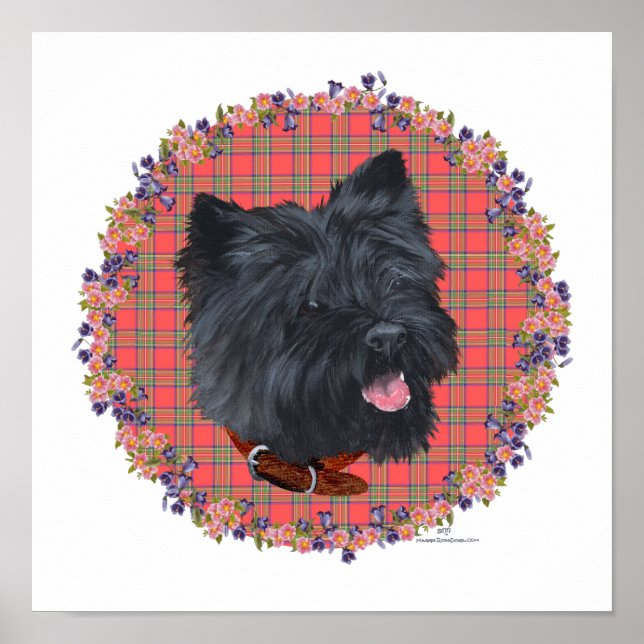 Black Cairn Head Study Poster (Framsidan)