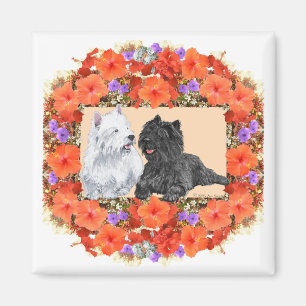 Black Cairn och Westie Terriers i Floral Magnet
