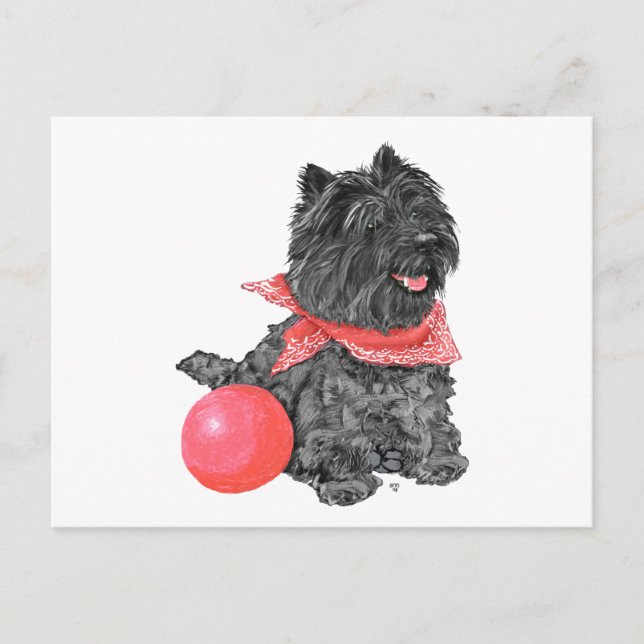 Black Cairn Terrier med Boll Vykort (Framsida)