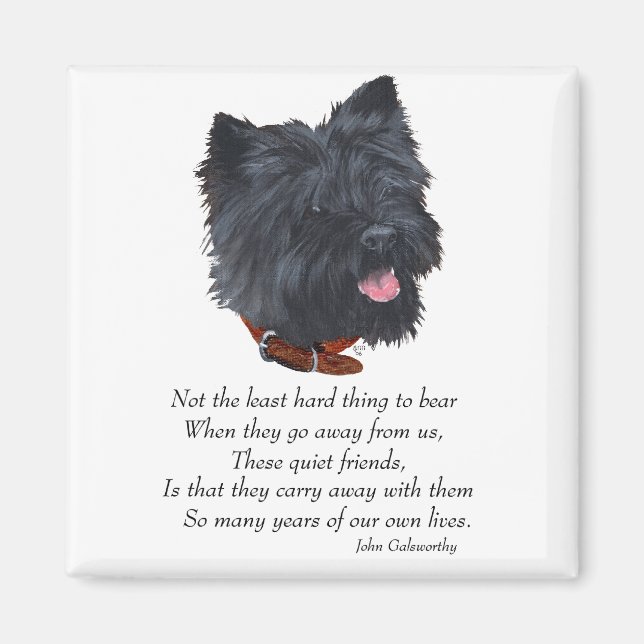 Black Cairn Terrier Rainbow Bridge Magnet (Framsidan)