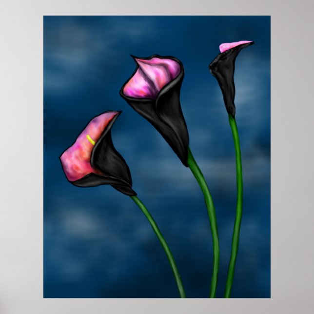 Black Calla Lilies Rosa Centre Poster (Framsidan)