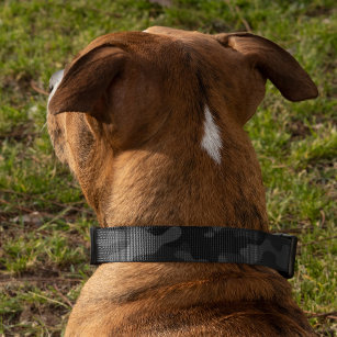 Black Camo Mönster Hund Halsband Husdjur