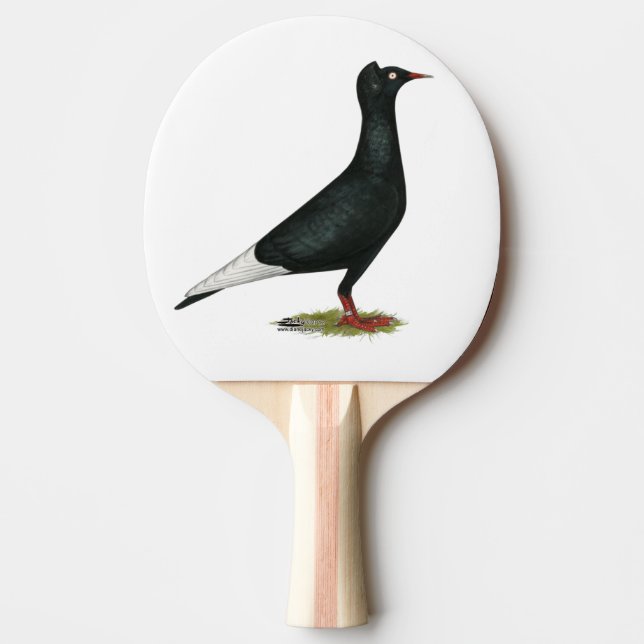 Black Cap Pigeon Pingisracket (Framsidan)