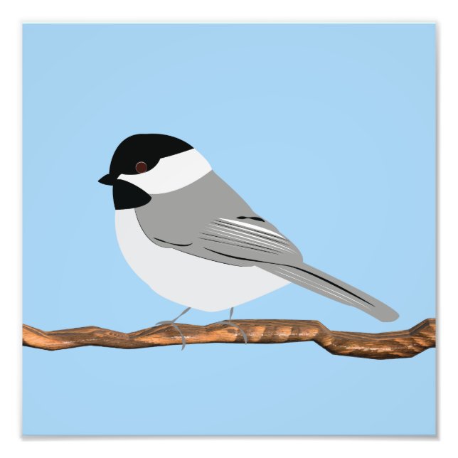 Black-Capped Chickadee print Fototryck (Framsidan)