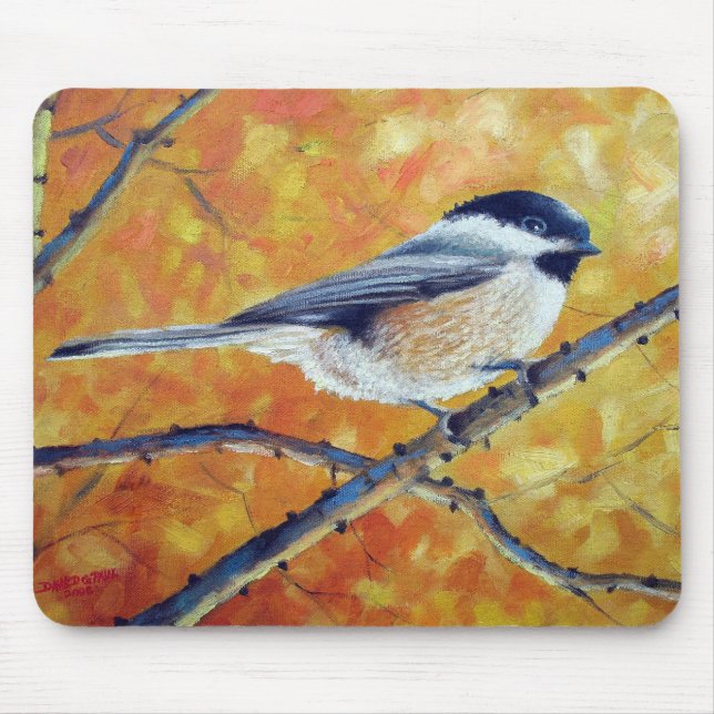 BLACK--CAPPEDCHICKADEE MUSMATTA (Framsidan)