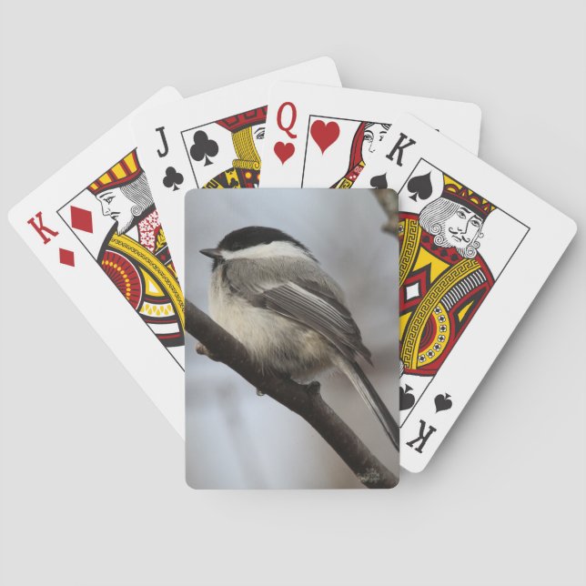 Black Caps Chickadee Casinokort (Baksidan)