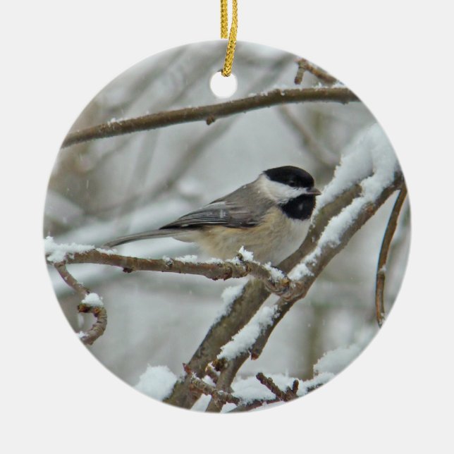 Black Caps Chickadee jul Ornament (Framsidan)
