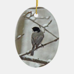 Black Caps Chickadee jul Ornament
