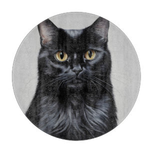 Black Cat