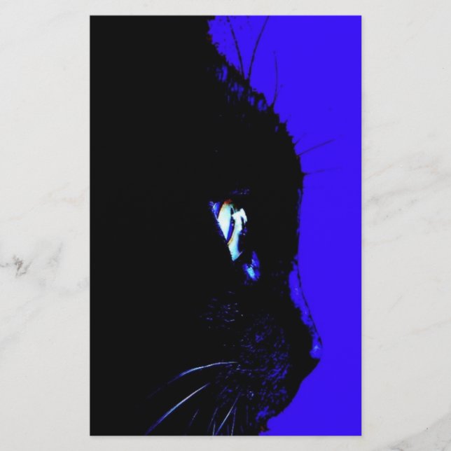 Black Cat (Framsida)