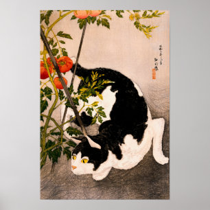 Black Cat and Tomato Plant av Takahashi Hiroaki Poster