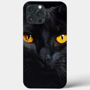 Black Cat Ansikte