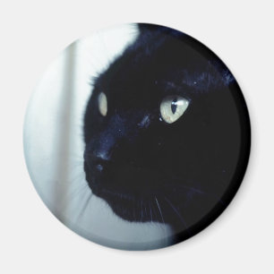 Black Cat Ansikte Magnet