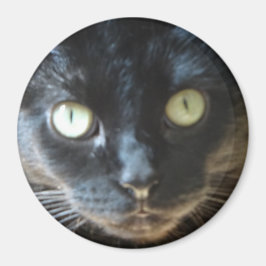 Black Cat Ansikte Magnet