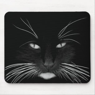 Black Cat Ansikte Musmatta