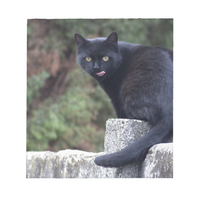 Black Cat Anteckningsblock (Framsida)