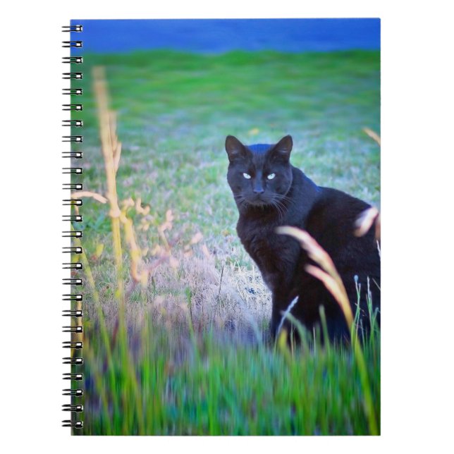 Black Cat Anteckningsbok Med Spiral (Framsidan)