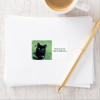 Black Cat - Behålla din Säkra kattetikett Adressetikett