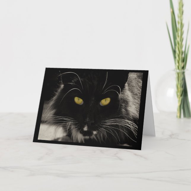 Black Cat Birthday Card, 70 Anpassa Önskemål Kort (Framsida)