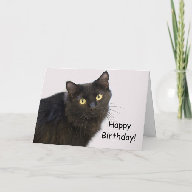 Black Cat Birthday Card av Focus för en orsak Kort (Framsida)