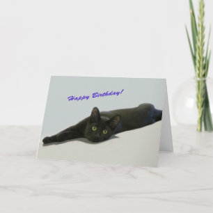 Black Cat Birthday Card av Focus för en orsak Kort