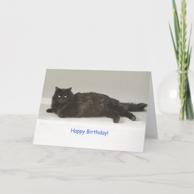 Black Cat Birthday Card av Focus för en orsak Kort (Framsida)