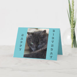 Black Cat Birthday Card Kort