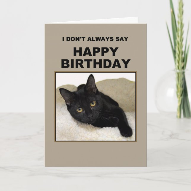 Black Cat Birthday Humor Kort (Framsida)