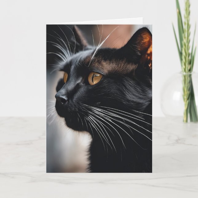 Black Cat Birthday Humor Kort (Framsida)